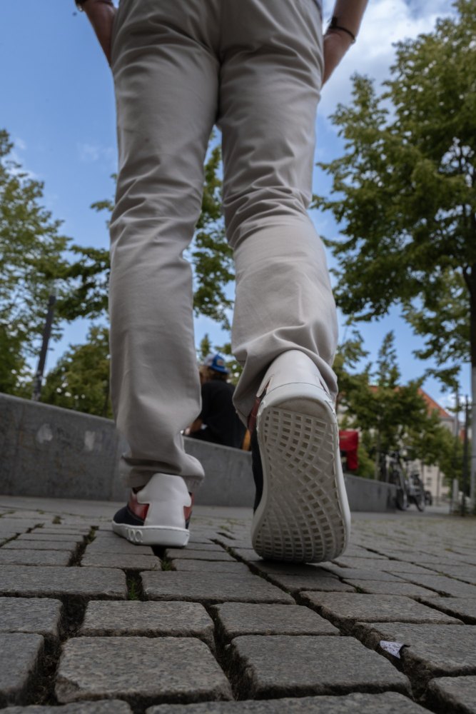 QAMPION Lacivert Kırmızı